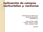 campos vectoriales y vectores 3
