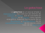La galactosa