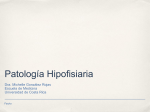 Patología Hipofisiaria - medicina