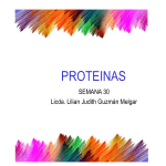 Presentación de PowerPoint - El blog de Lilian Guzmán Melgar