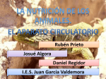 Diapositiva 1 - IES Juan García Valdemora