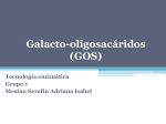 Galacto-oligosacáridos (GOS) Tecnología enzimática Grupo 1