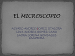 EL MICROSCOPIO1105