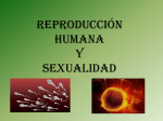 reproducción humana y sexualidad