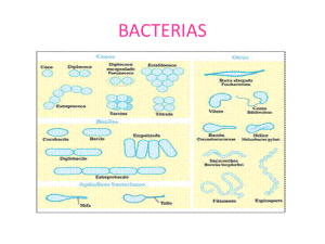 Microorganismos - REGENCIA-UNIMAGDALENA-BUCAROS-UDI