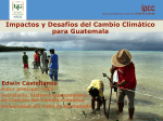 Impactos en Guatemala del CC y ley Probosque