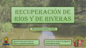 RECUPERACIÓN DE RÍOS Y DE RIVERAS