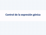 Control_de_la_expresión_génica