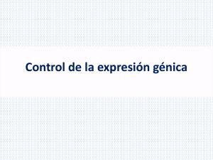 Control_de_la_expresión_génica