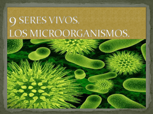 9 seres vivos. los microorganismos.