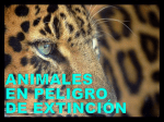 animales en peligro de extinción