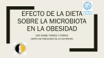 EFECTO DE LA DIETA SOBRE LA MICROBIOTA EN LA OBESIDAD