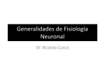 Generalidades de Neurofisiología