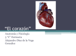 Gasto cardiaco = volumen sistólico x frecuencia cardiaca
