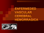 enfermeded vascular cerebral hemorragica
