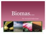 Biomas*