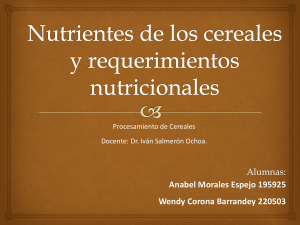 Nutrientes de los cereales y requerimientos - FCQ