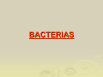 bacterias - WordPress.com