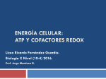 ATP y cofactores redox 2016 presentacion en pptx