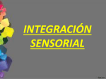 integración sensorial
