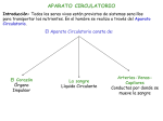 Aparato Circulatorio 2011