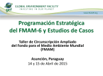 Estrategia del FMAM-6: Productos Químicos y Desechos