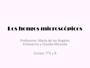 bio-7-u1-pre-clase_4.hongos_1