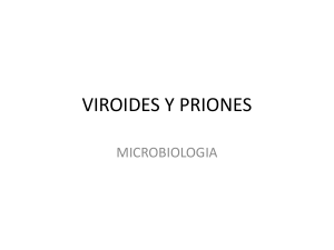viroides y priones - Microcosmorflores