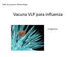 Vacuna VLP para influenza - U