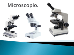 Microscopio.