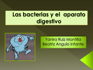 Las bacterias y el aparato digestivo