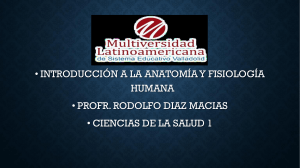 Introducción a la anatomía y fisiología humana.