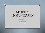 sistema inmunitario - medicina