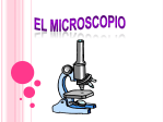 el microscopio