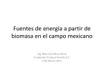 Fuentes de energia - Renewable Energy in Mexico