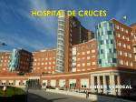 hospital de cruces - Ezagutu Barakaldo