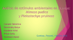 Análisis de estímulos ambientales en plantas: Mimosa púdica y