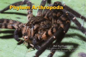 Diapositiva 1 - Escuela de Biolog&iacute;a :: BUAP