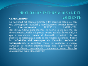PROTECCION INTERNACIONAL DEL AMBIENTE