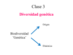 Origen de la Diversidad Genética