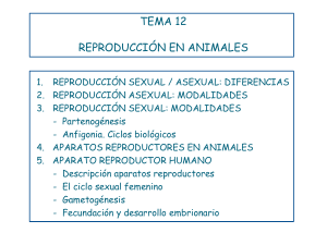 Diapositiva 1 - Colegio San Saturio