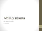 Axila y mama - Telmeds.org