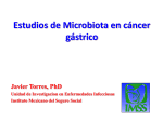 Estudios de Microbiota en cáncer gástrico Javier Torres, PhD