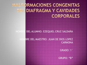 malformaciones congenitas del diafragma y cavidades corporales