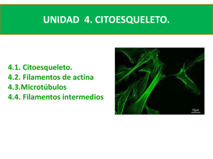 Diapositiva 1 - biologia celular y molecular 1