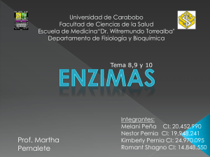 Que es una Enzima?