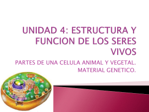 UNIDAD 5 clase partes de un celula animal y vegetal.