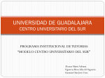 programa institucional de tutorías: modelo centro universitario del sur.