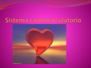 Sistema cardiocirculatorio
