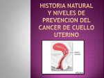 historia natural y niveles de prevencion del cancer de cuello uterino